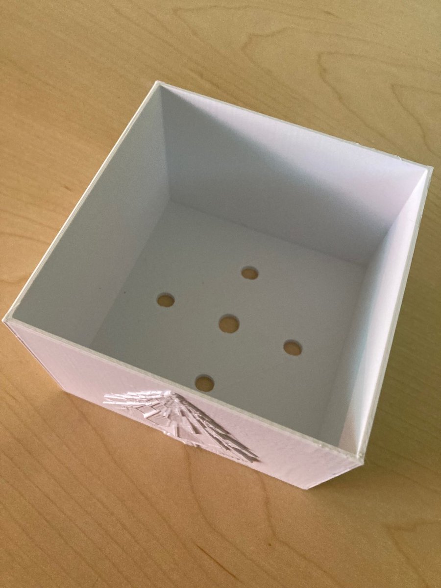 SeamlessEdTech's tweet photo. This one has symmetrical drainage holes in the bottom, providing yet another variable to test.  Oh and there's a tree on it! #edtech #edutwitter https://t.co/3FfTKYHniE
