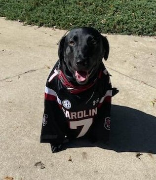 BreakfastLive's tweet photo. @TalkCockyWithMe Darci is always ready for gameday. https://t.co/tITGtdFmUY