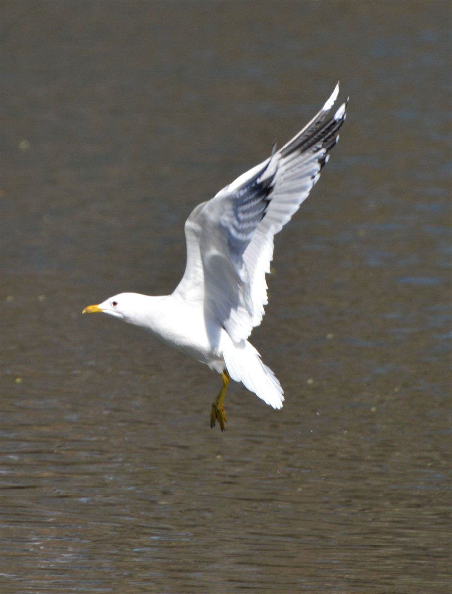 BlueBlue96yo's tweet image. 📸