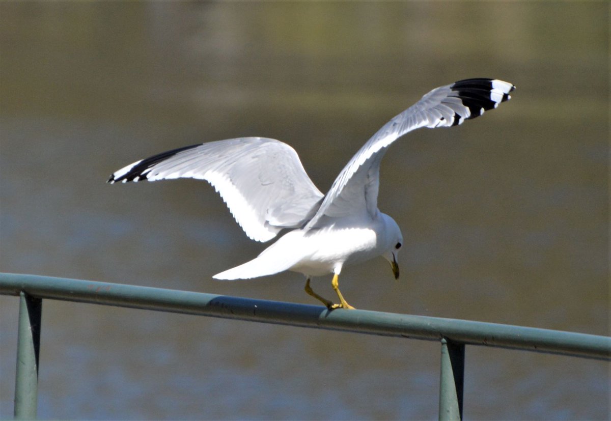 BlueBlue96yo's tweet image. 📸