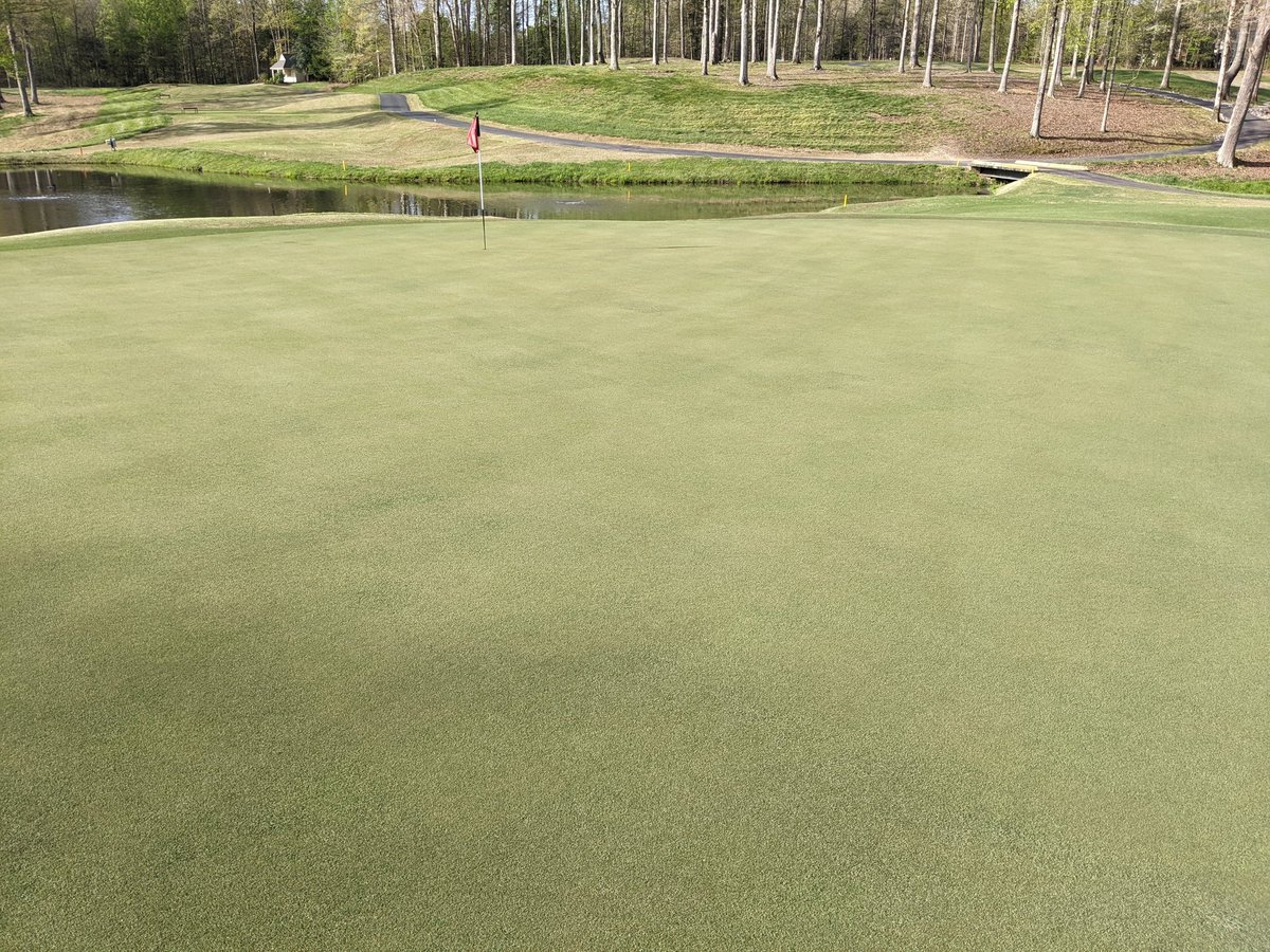 Chris Harriman tweet media