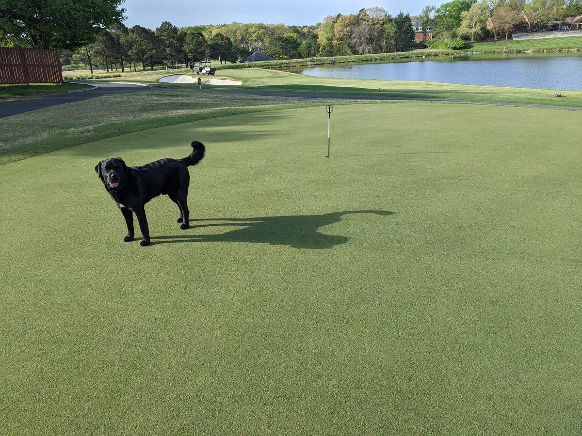 Chris Harriman tweet media