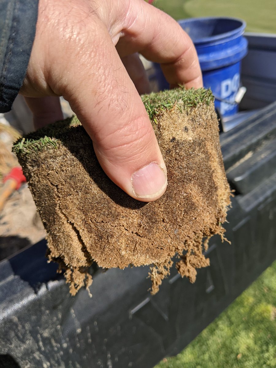 Chris Harriman tweet media