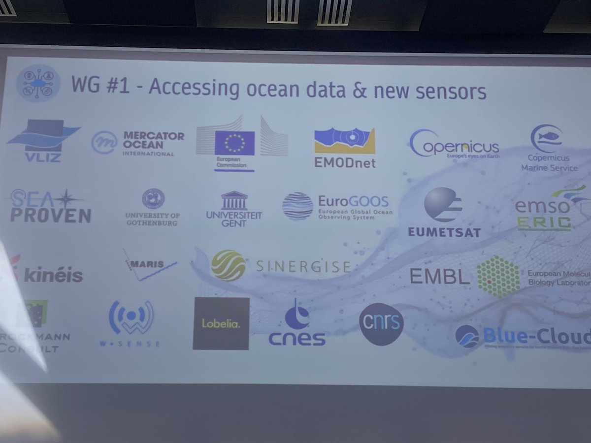 It was a pleasure to be invited to join the first #DigitalOceanForum in Paris this week, bringing perspectives on #MarineDataForSociety #MarineUsers & #OceanLiteracy co-creating a common vision for a user-driven #DigitalTwinOcean enabling #MarineKnowledge generation by & for all!