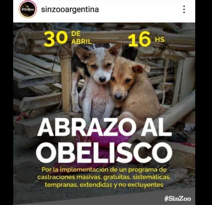 5tasxandthecity's tweet photo. Amigos Difundamos!!! Todos a pedir x ellos!! Al obelisco por ellos!! 🙋🏼‍♀️🐾💞 https://t.co/3hyE5tD05u