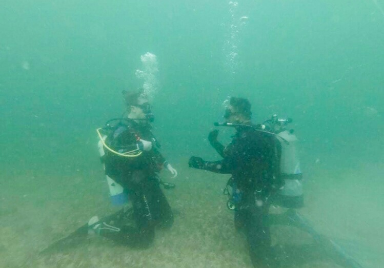 NarcosisScubaCe's tweet photo. Let's go #scubadiving @NarcosisScubaCe
#scubalife #visittarponsprings #visitflorida https://t.co/t0YiBKxjYw