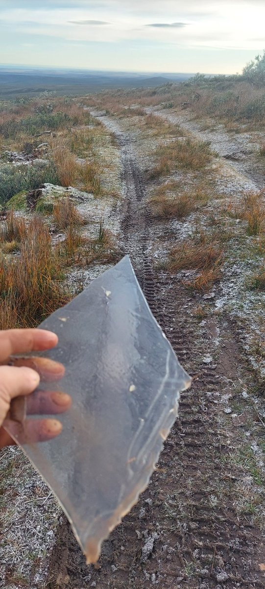 heladita Cordón Baquedano 🇨🇱