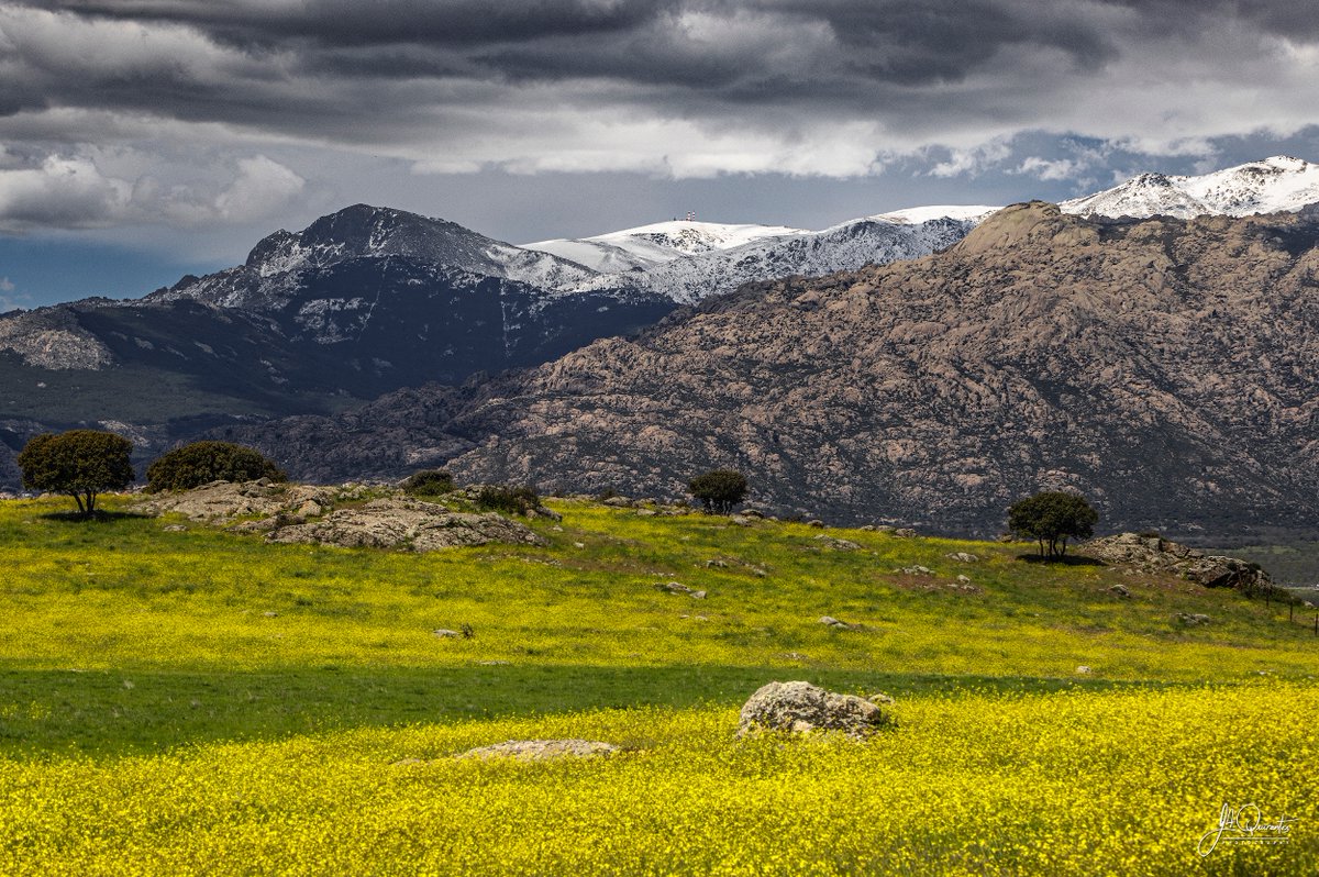 JoseAQuirantes's tweet photo. ¡ Abril ! https://t.co/zQXxakfIf4