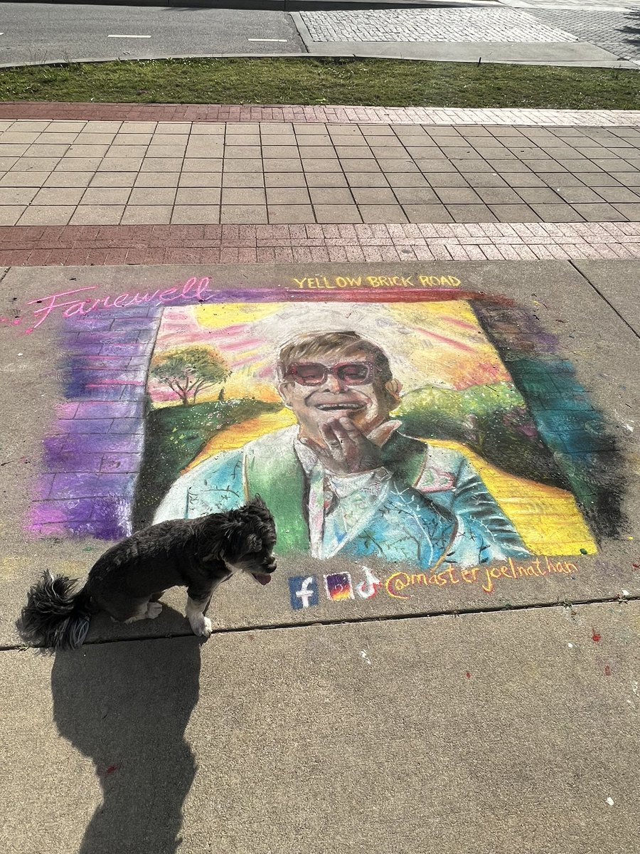 ChampStaley's tweet photo. Hey @eltonofficial!  Thanks for coming to see us and serenade us and overwhelm us with an incredible show!  I missed it but I overheard the humans speak so excitedly about it. Safe travels! https://t.co/uRqUlCgHMu