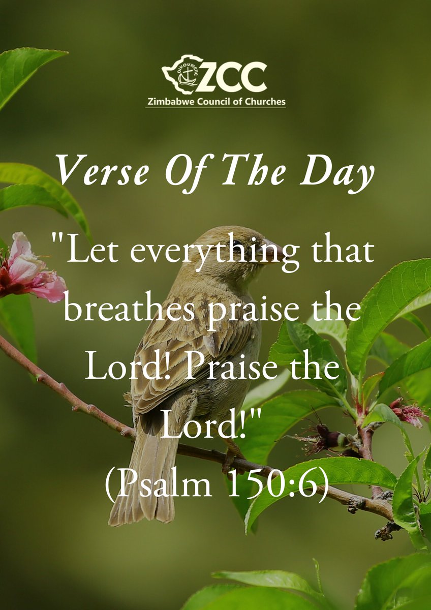 zccinzim's tweet photo. #VerseOfTheDay 
Readings of the day 
Psalm 150; 
1 Samuel 17:1-23; 
Acts 5:12-16 https://t.co/F8Cvh47fXG