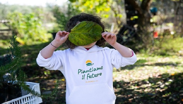 Sostenibile's tweet photo. “Adotta un albero": parte dalla Sardegna il progetto che vuole riforestare il Mediterraneo con 15 milioni di piante entro il 2030 https://t.co/YRc8GTOMiy https://t.co/RMCu3wxaap