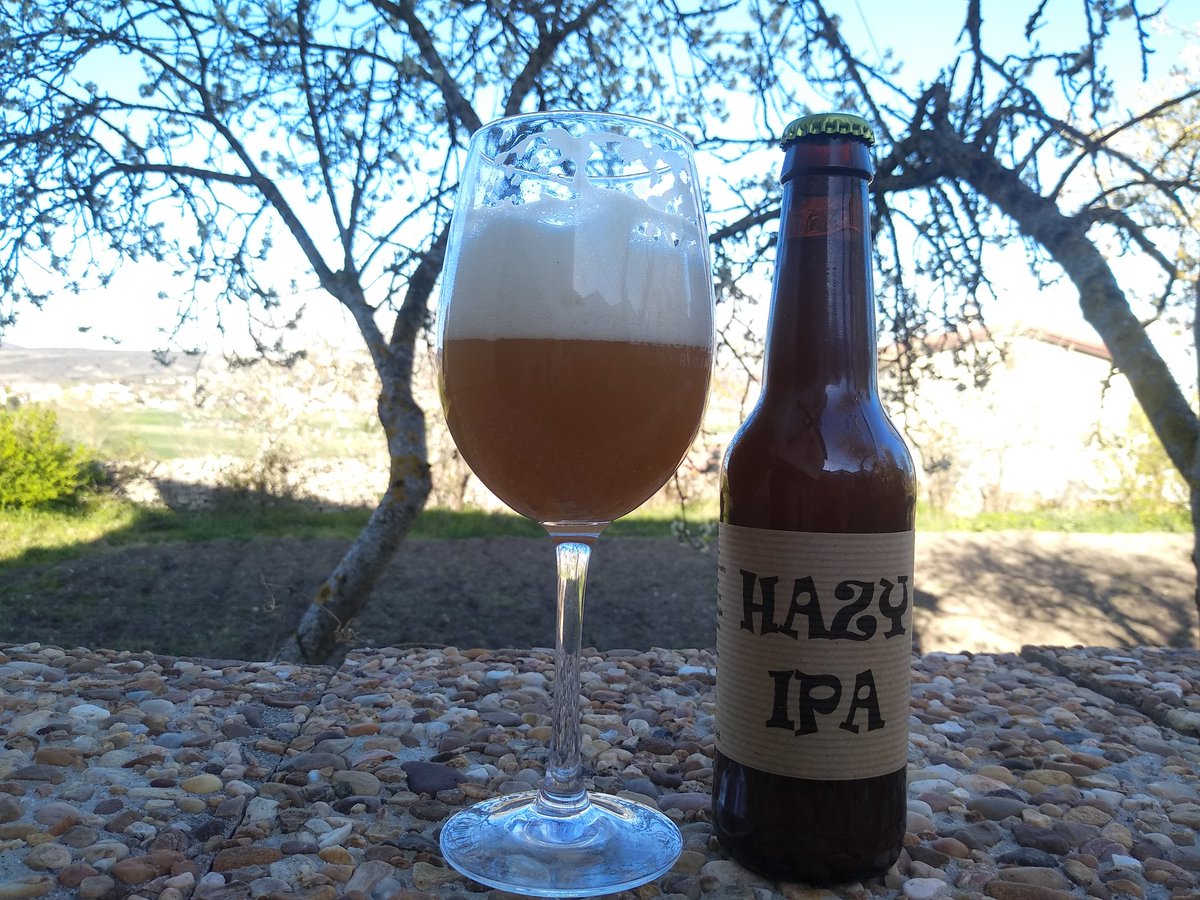 🄷🄰🅉🅈  🅸🅿🅰