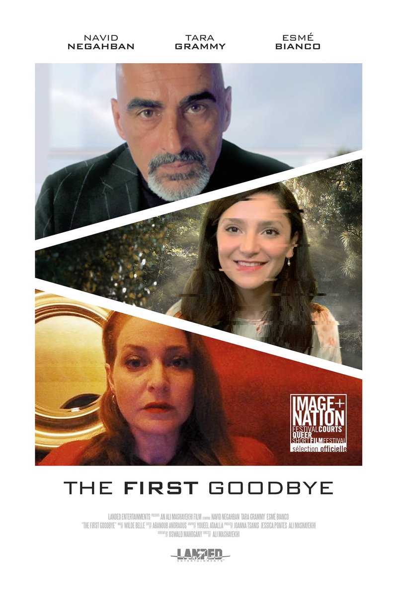 Ali Mashayekhi tweet media