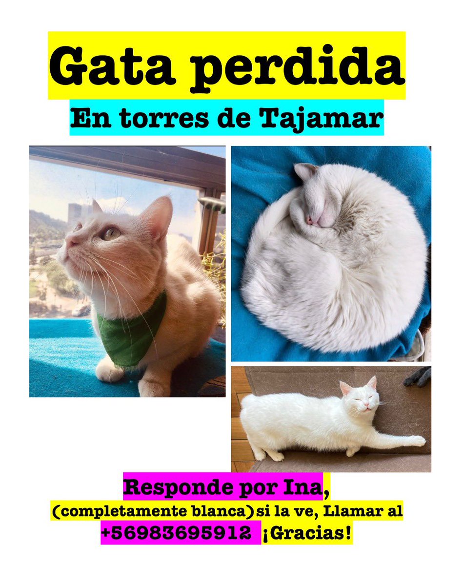 inge_yang's tweet image. 🥺