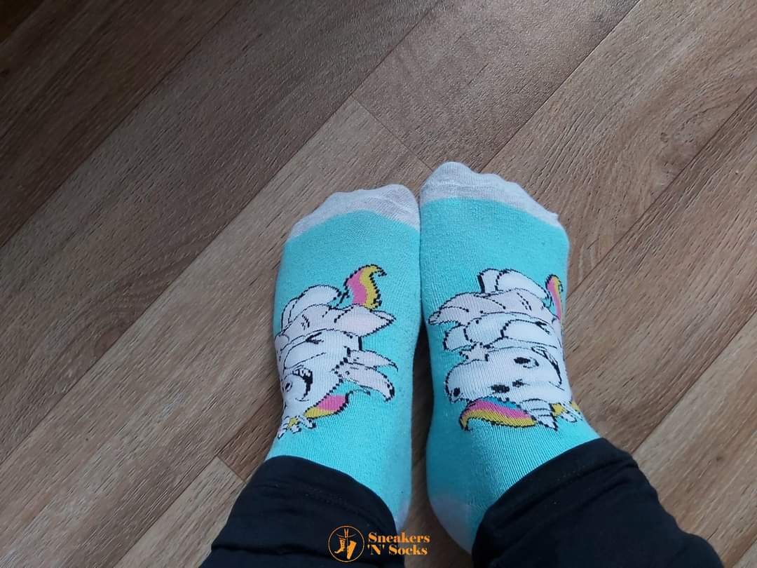 socks_sneakers's tweet photo. Türkise Einhornsöckchen...sind die nicht süß?
#socks #socken #buntesocken #colorfulsocks #noshoes #nuraufsocken #walkinsocks #sockenfetisch #sockfetish #einhornsocken #unicornsocks #dirtysocks #socksgetdirty #schmutzigesocken #dreckigesocken #cuteocks #lustigesocken #funsocks https://t.co/QwdVQrx2Yq