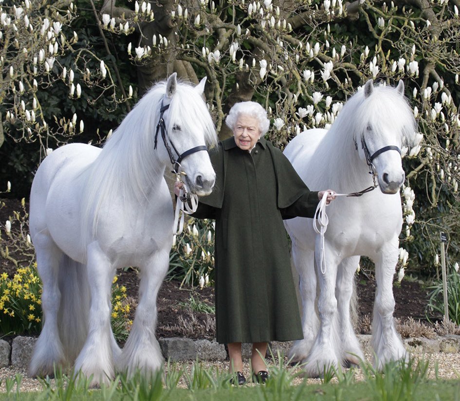 helland_peter's tweet image. Doing a bit of retirement planning.  Queen Elizabeth is 96 today … and single!  I’m giving thought to finding a way to have my 96 year-old father, who’s also single, introduced to her.