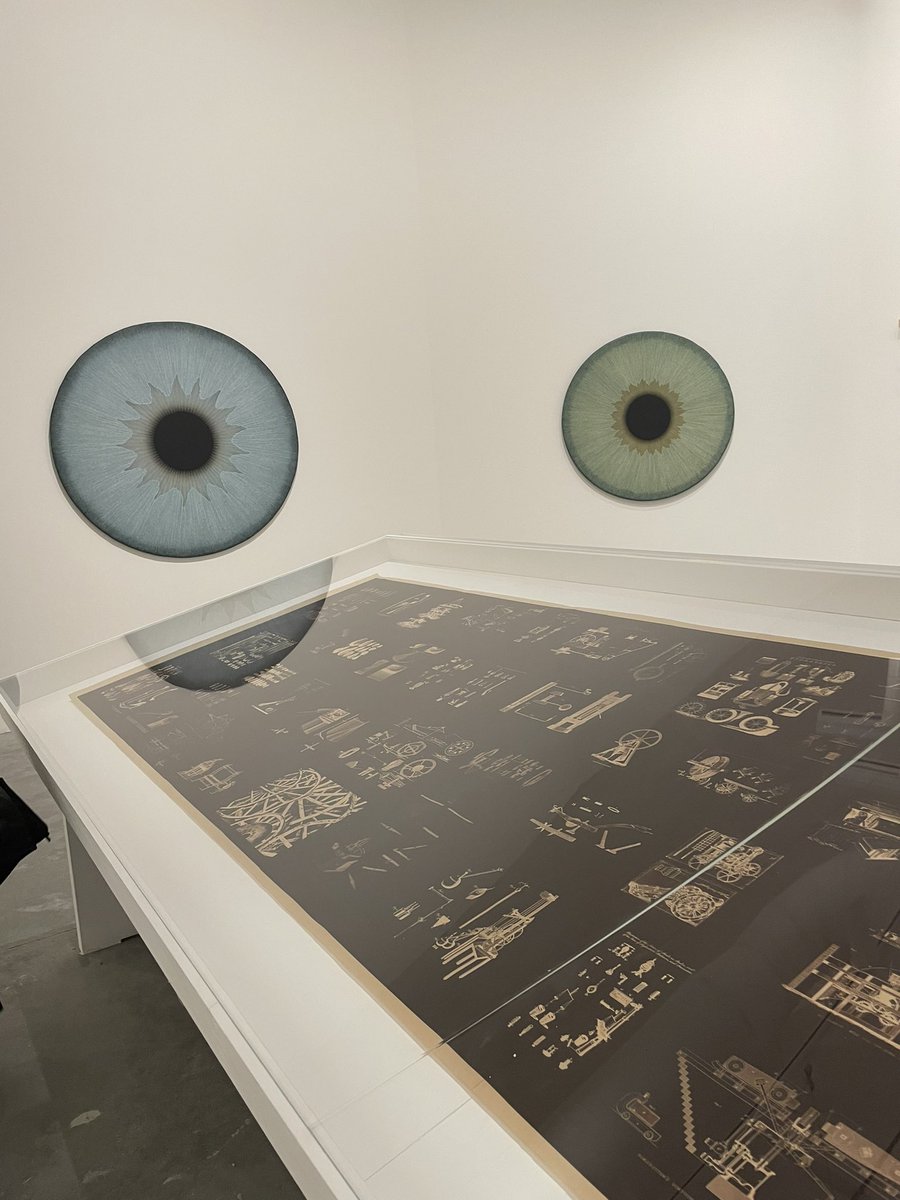 maria paula tweet media