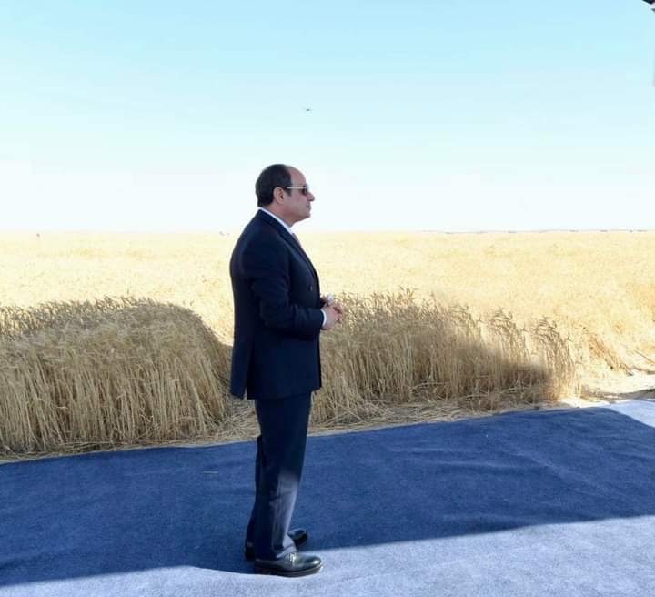 ياسلام لما يكون عندك رىيس مش محسسك باى ازمات وكمان بيصحينا على المشروعات الجديدة وقمح وحصاد وتمور وخير خير خير 
مصر بخير مع السيسى 🇪🇬