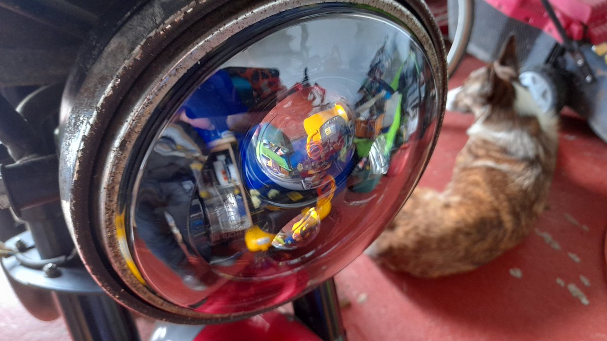 BulldogBDX's tweet photo. Up first thing tomorrow to go get the lights on the #AlfaRomeo and the #V11 set for MOT and then back to sorting the #Norge unless I've got to wash dogs for Mrs.BDX
Days off eh?? Who needs 'em ??
#spannering #shedlife #BDXclub #servicing #dogwashing 🤔🤔 https://t.co/x7xVx6C9Kp