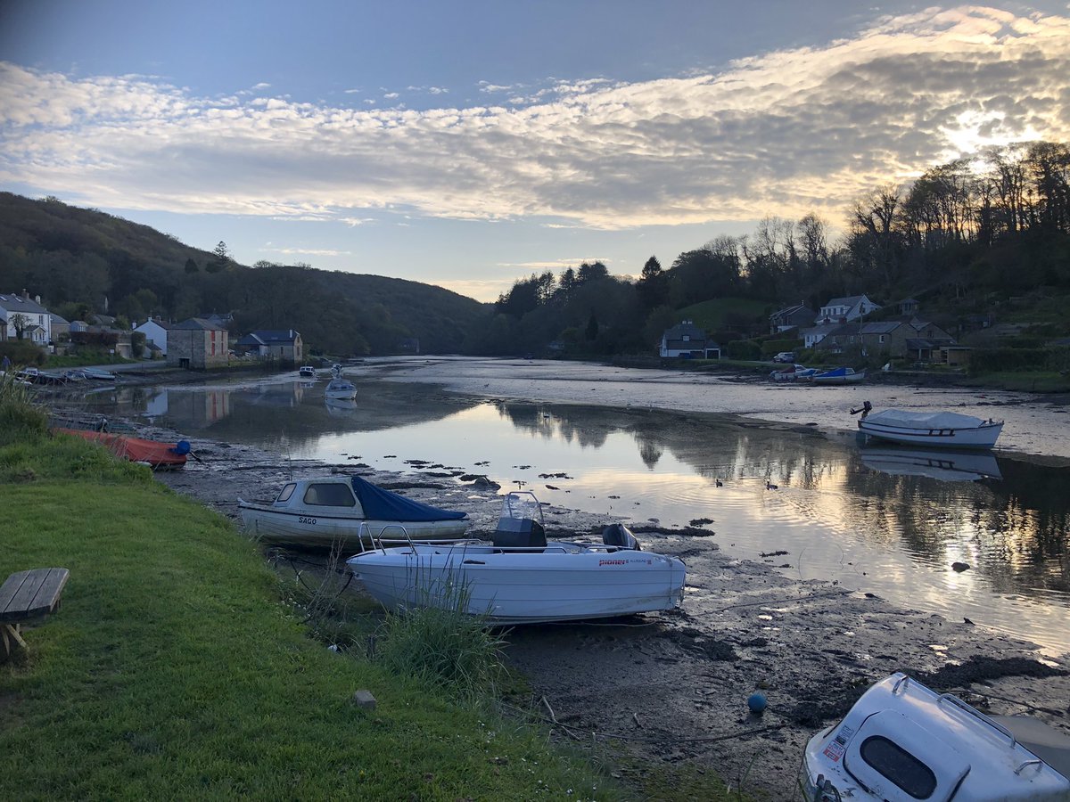 Jeremy Bruce Ward tweet media