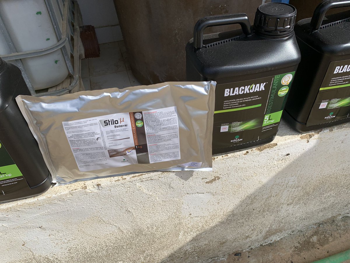 pfernandez1975's tweet photo. Aplicación vía radicular de #MicroRemover + #Blackjak en prueba de desarrollo #CropBalance de @sipcam_iberia en nectarina var.R-28 antes de endurecimiento del fruto en Valdivia (Badajoz) #bacteriasPGPR #Leonardita 🍑🦠💪 https://t.co/M5AfDrPToS