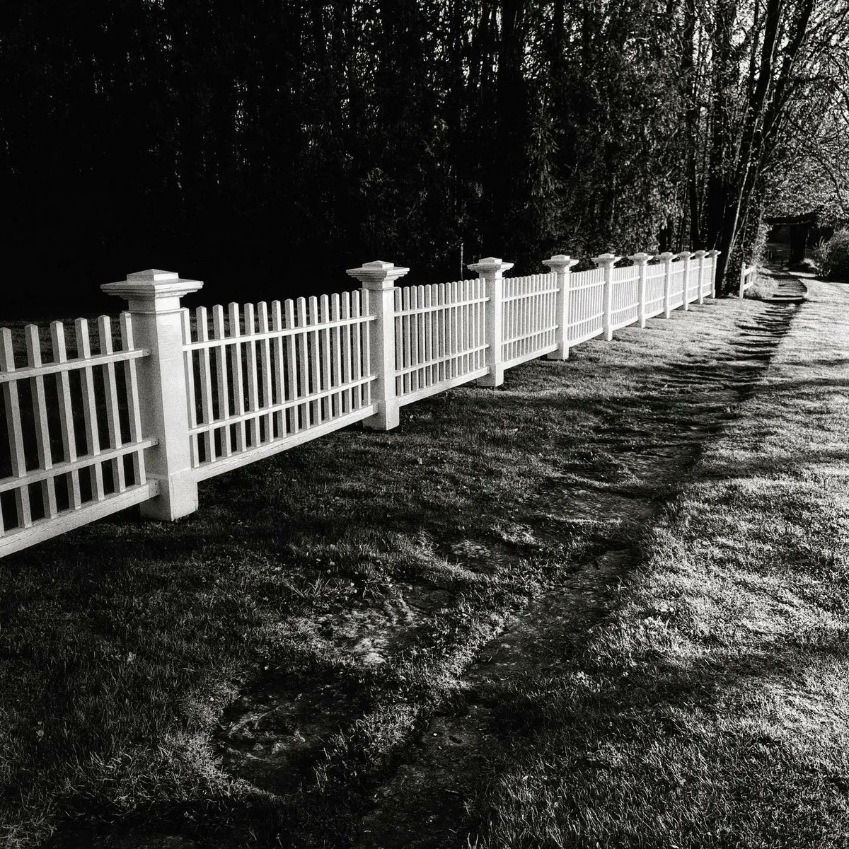 RosslynRedux's tweet photo. “Good fences make good neighbors…”  — Robert Frost (from “Mending Wall”)
#robertfrost #robertfrostquote #robertfrostpoem #bnw #bnwphotography #bnwmood #bnwzone #bnw_captures #blackandwhite #blackandwhitephotography #blackandwhitephoto #blackandwhiteart https://t.co/ote2g6btpc