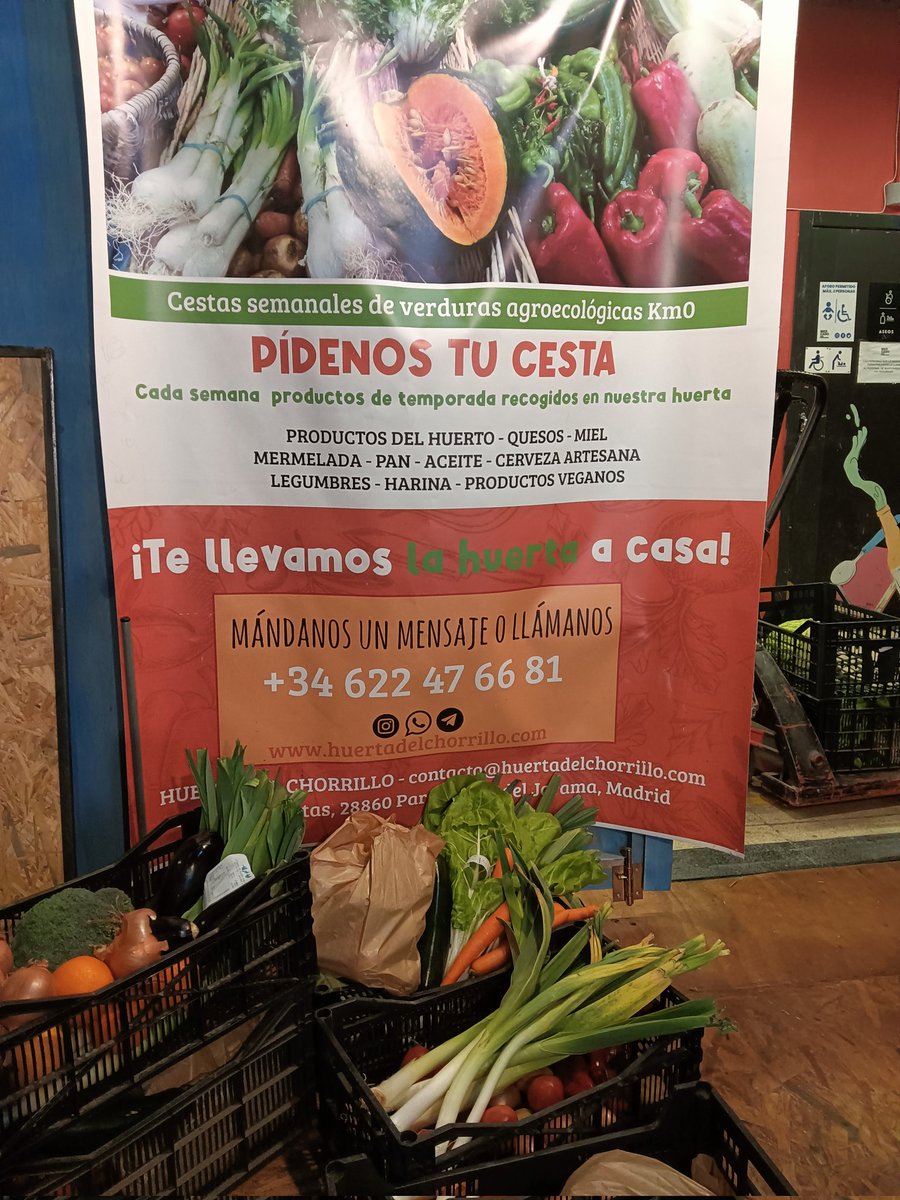 Pues eso que te llevamos una cesta de verdura de temporada a casa todas las semanas o cuando lo necesites