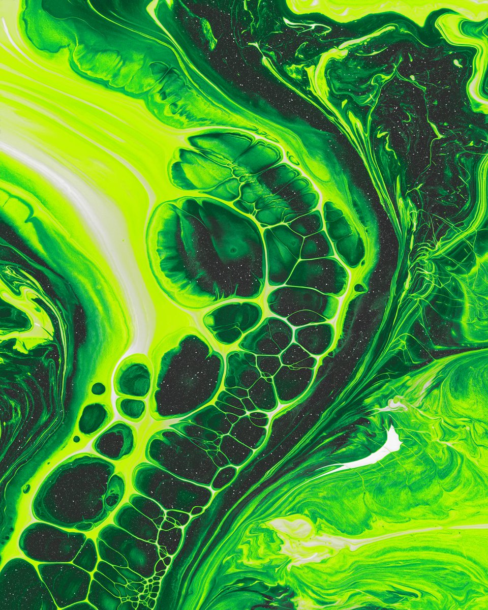 • Second Nature •
#abstractpainting #green #alienart #trippy #nature #abstract #fluidart