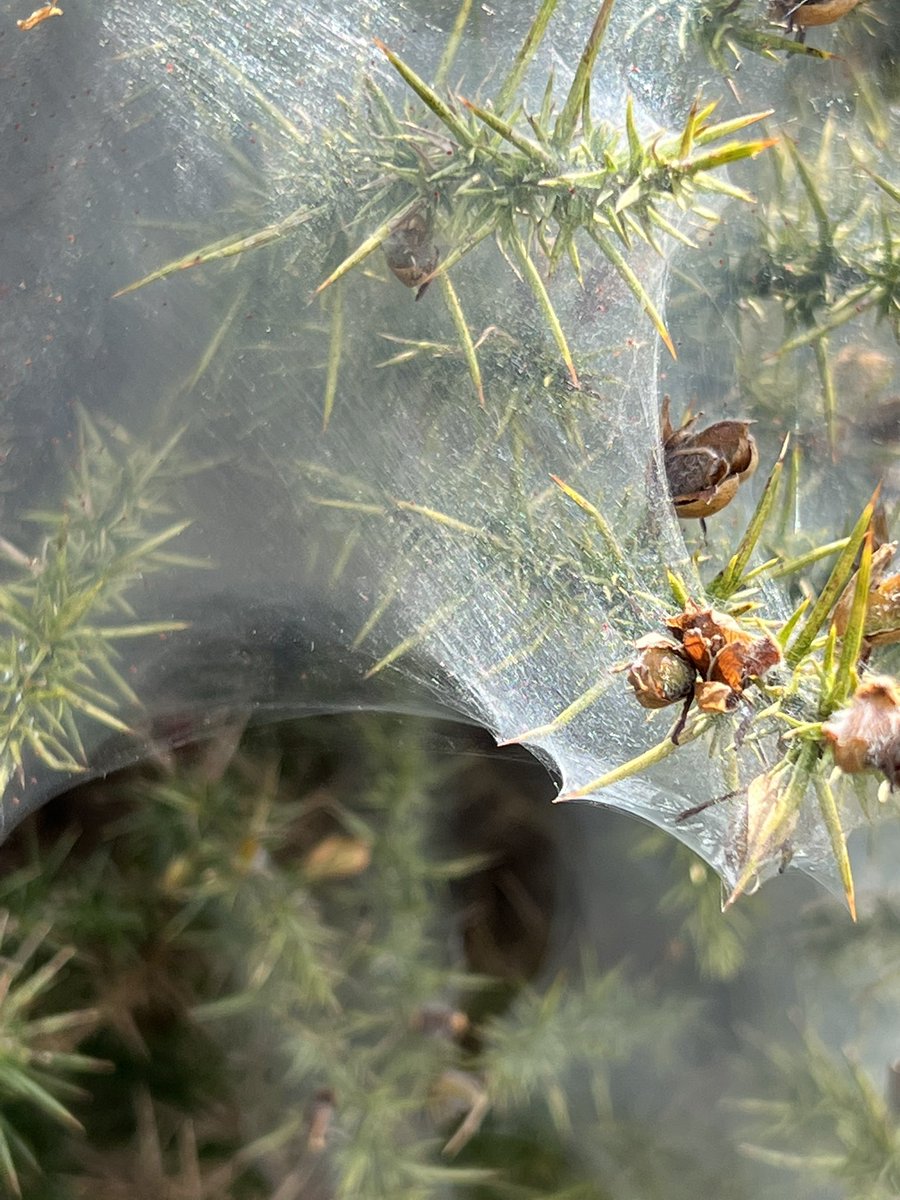 Ruth Newby tweet media