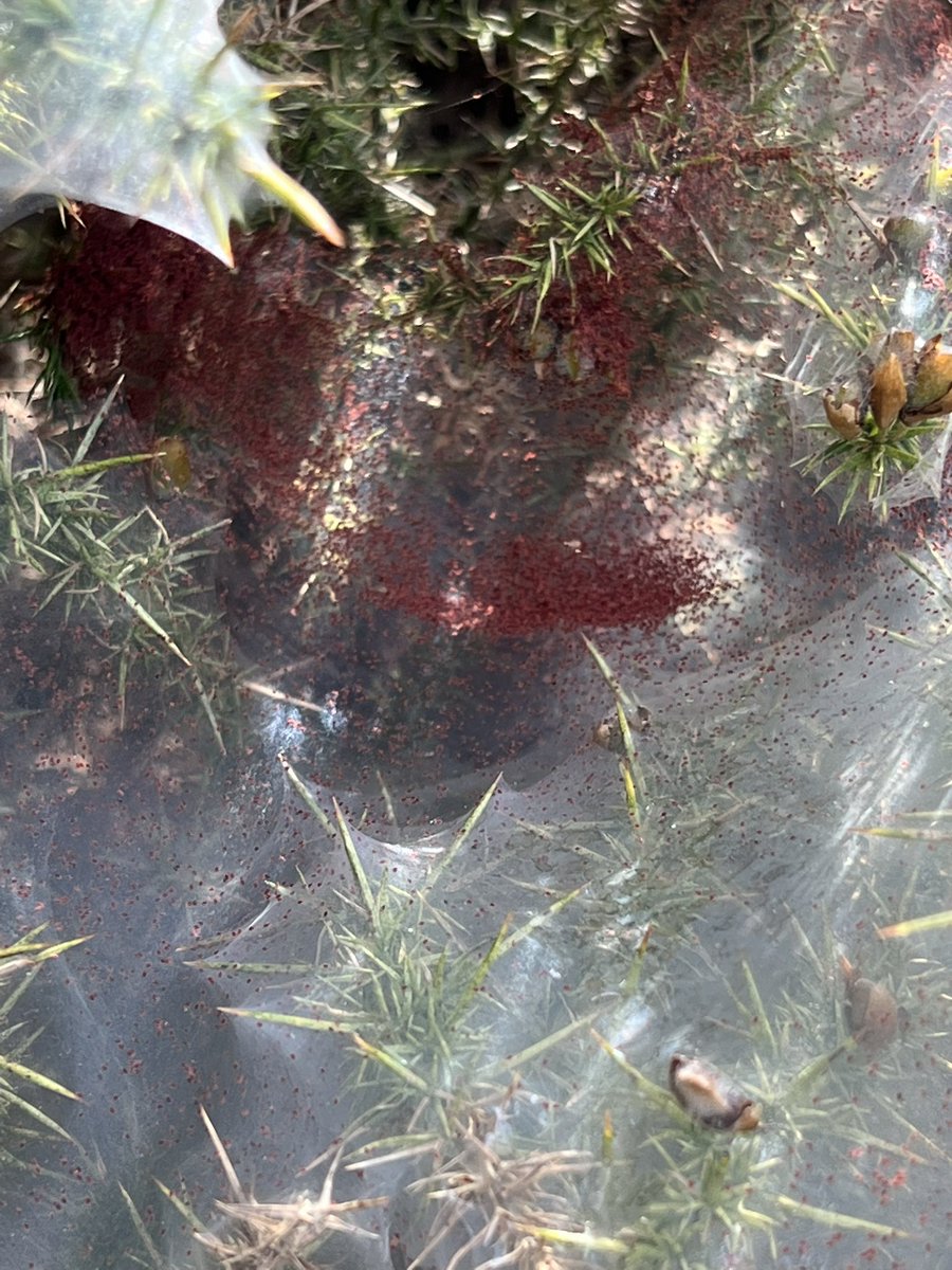 Ruth Newby tweet media