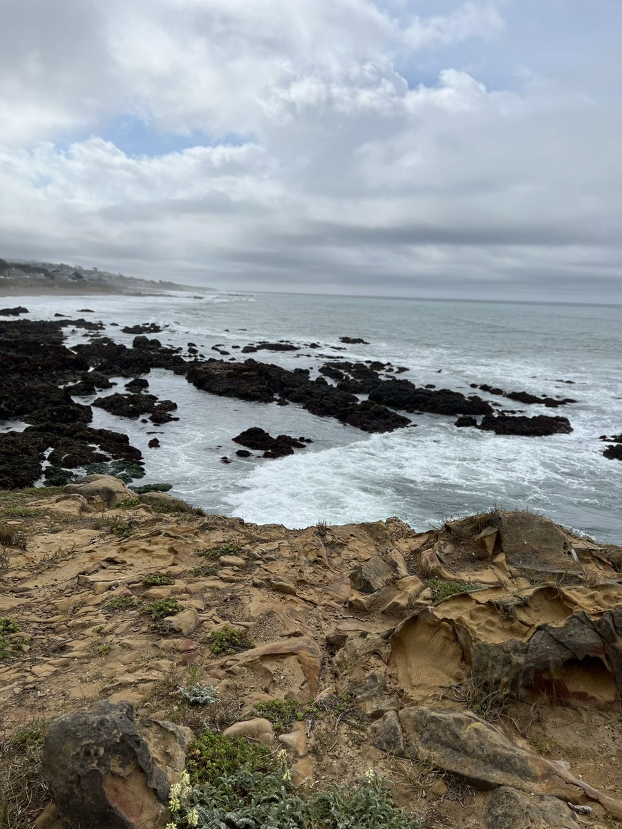 Noramaurer's tweet photo. Cambria, just what this teacher needed for #SpringBreak202 https://t.co/YaCtCOvFGz