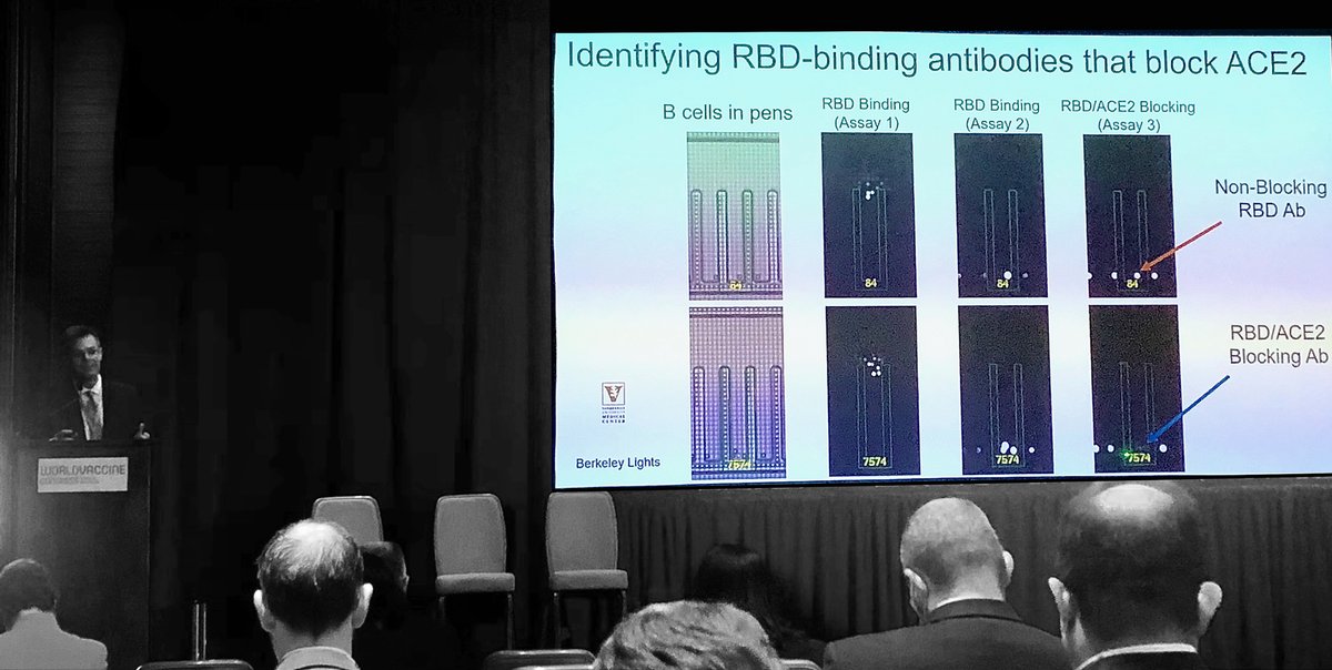 brukercellular's tweet photo. James Crowe of @VUMC_Vaccines talks about “Advances in the technologies used to study human #B-cell repertoires” at the #WVCEU and how the #BerkeleyLights #Beacon system and technology play an integral part of his research. #antibodies #antibodydiscovery
https://t.co/U8hxLsJNbX https://t.co/gfXjd0Gz7M