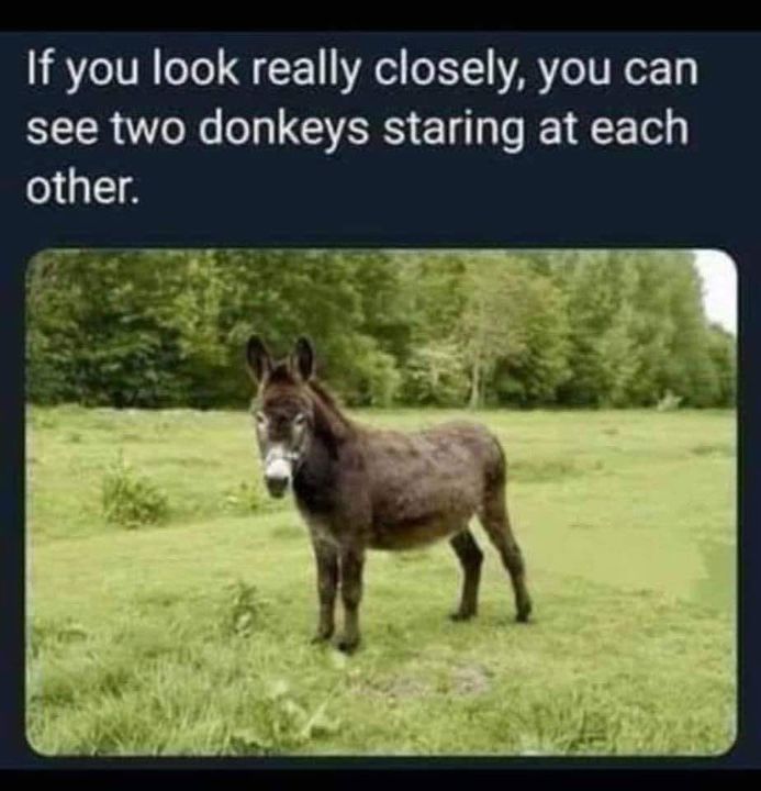 Sharon Khousakoun tweet media