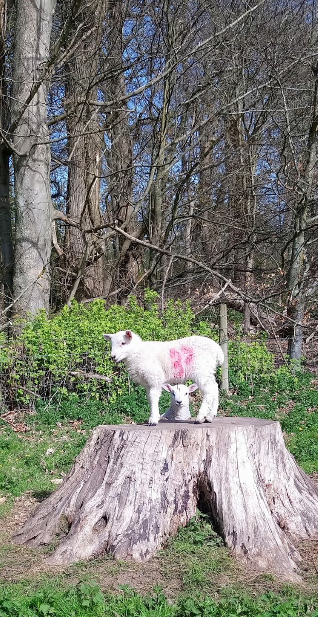 kerryrecep tweet media