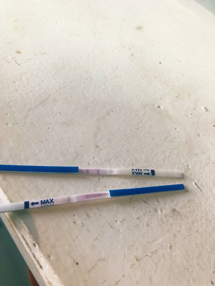 Hoje, sei que uma nova história se inicia Helena foi promovida a irmã mais velha!