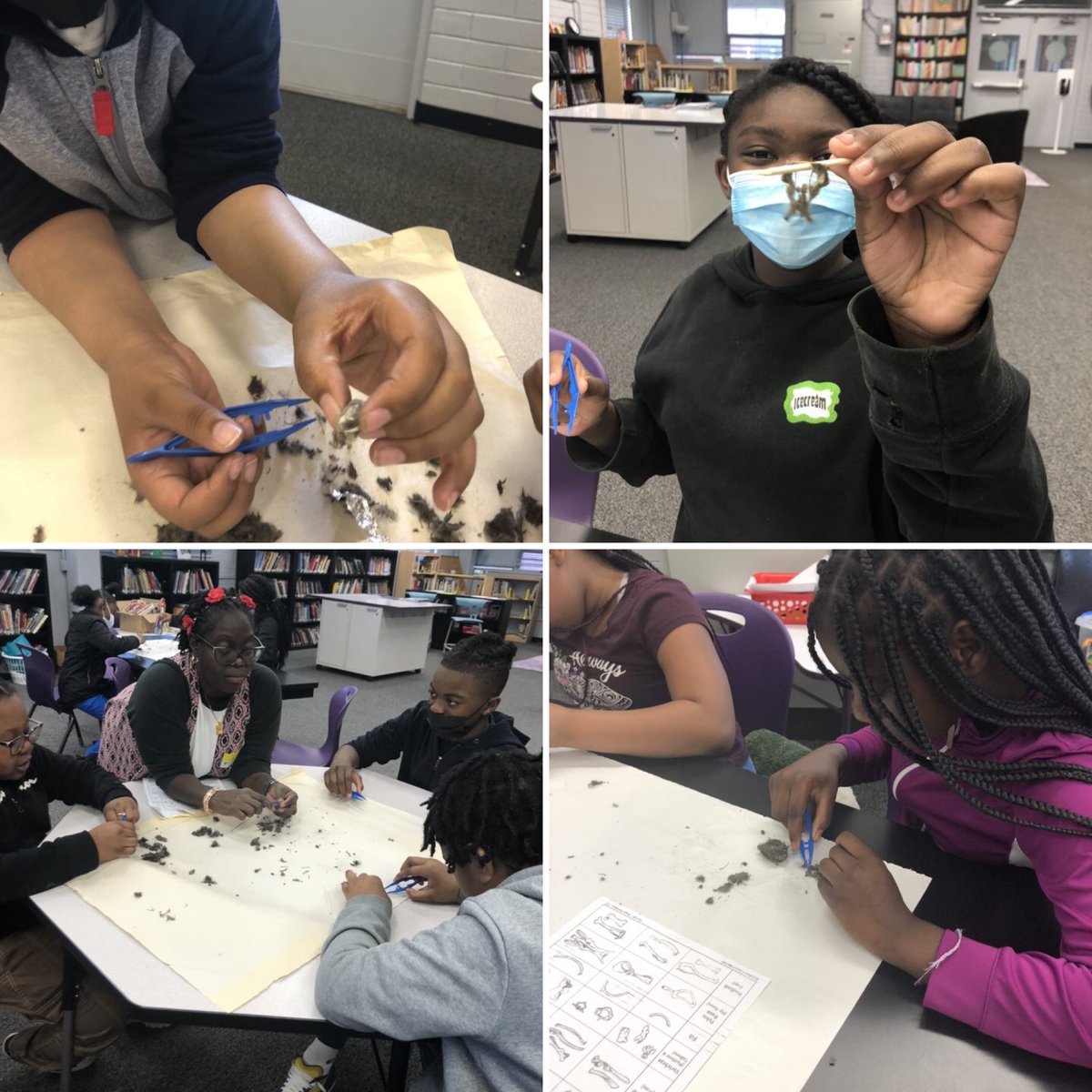 dcvpa's tweet photo. From National Pan Hellenic volunteers to dissecting owl pellets in 4th &amp; 5th grade to 7th &amp; 8th grade students at @gehnuclear's Girls in Technology Summit to a field trip to @uncw_library for 3rd grade… Our Lions are always doing big things! #LearnThriveSoar #LearnThriveROAR https://t.co/MX9HWLqBs0