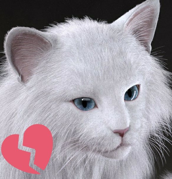 AlinaDevee's tweet image. Tonight, would shatter Alina's world.

She came home from work, only to discover that her beloved kitty, Beyaz, had passed away from his battle with illness. Leaving his companion kitty Agnimitra behind, alongside his human whom he saw as Pack Mother.

#RIPBeyaz 💙💔