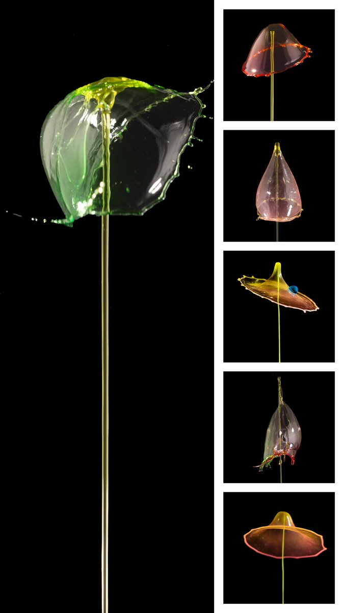 LittleArtPhotag artist tweet media