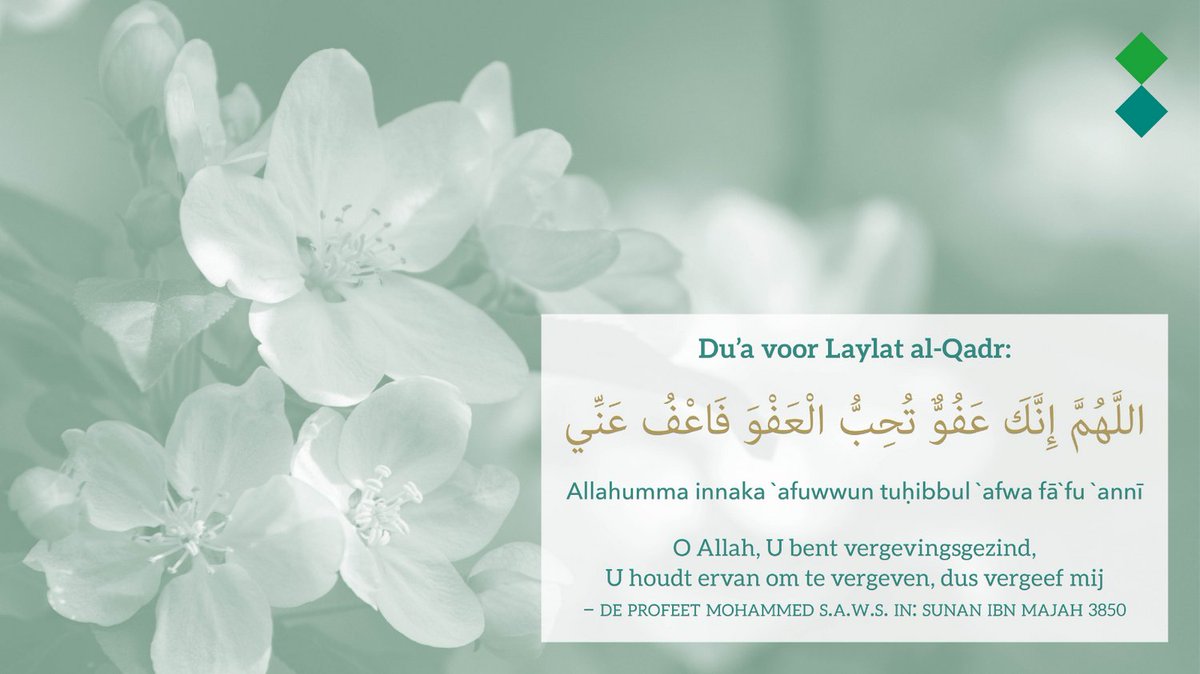 Du'a voor Laylat al-Qadr

#dua #laylatalqadr #fahminstituut
#omdatkennistotbegripleidt