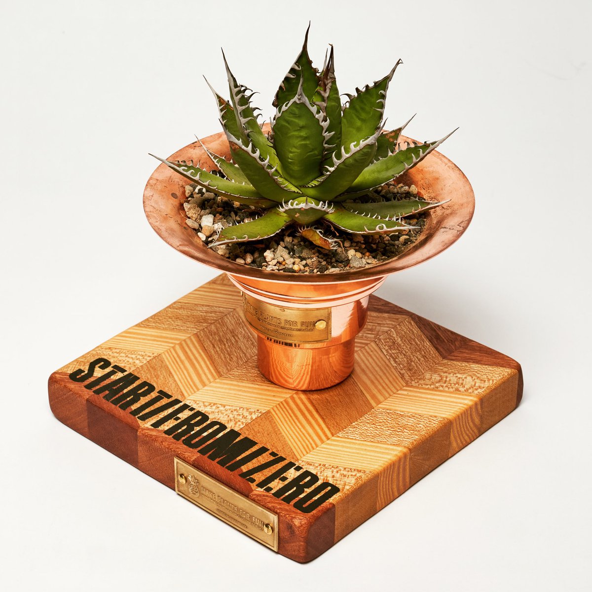 Smile1688H's tweet photo. Agave LB 402W & LB404W iron Pots (Rose Gold Edition) & Start From Zero x @Smile1688H Wedgwood Square Display 🪵Woods 2 size
Restock Now!!!!!🫶🫶🫶🫶
#RutoWaiguru #plants #makeplantsforfun #makeplants4fun #agave #agavetitanota #龍舌蘭 #塊根植物 #agavelover #styleofchika https://t.co/A89K3LUzC8