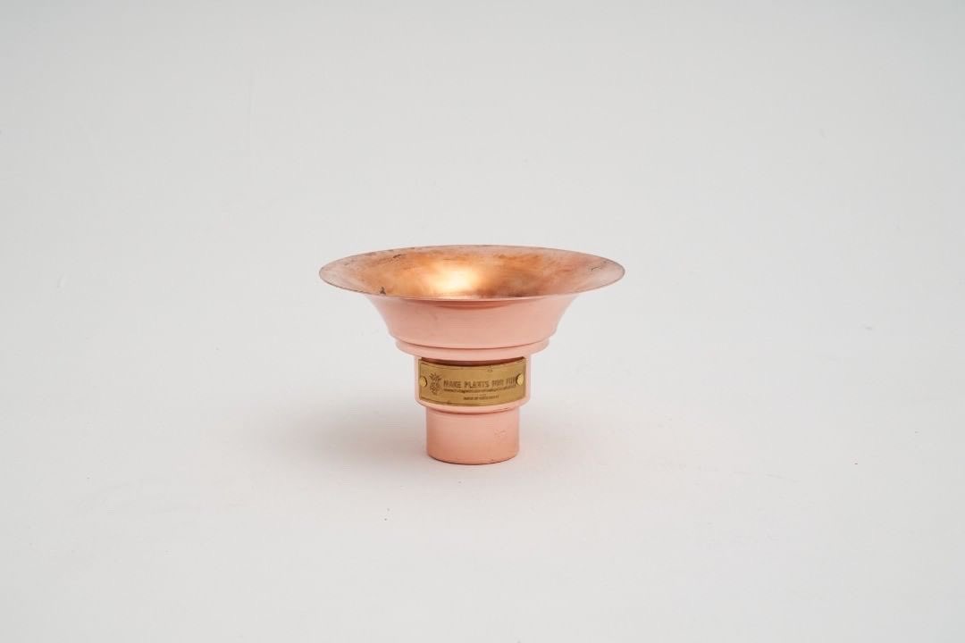 Smile1688H's tweet photo. Agave LB 402W & LB404W iron Pots (Rose Gold Edition) & Start From Zero x @Smile1688H Wedgwood Square Display 🪵Woods 2 size
Restock Now!!!!!🫶🫶🫶🫶
#RutoWaiguru #plants #makeplantsforfun #makeplants4fun #agave #agavetitanota #龍舌蘭 #塊根植物 #agavelover #styleofchika https://t.co/A89K3LUzC8