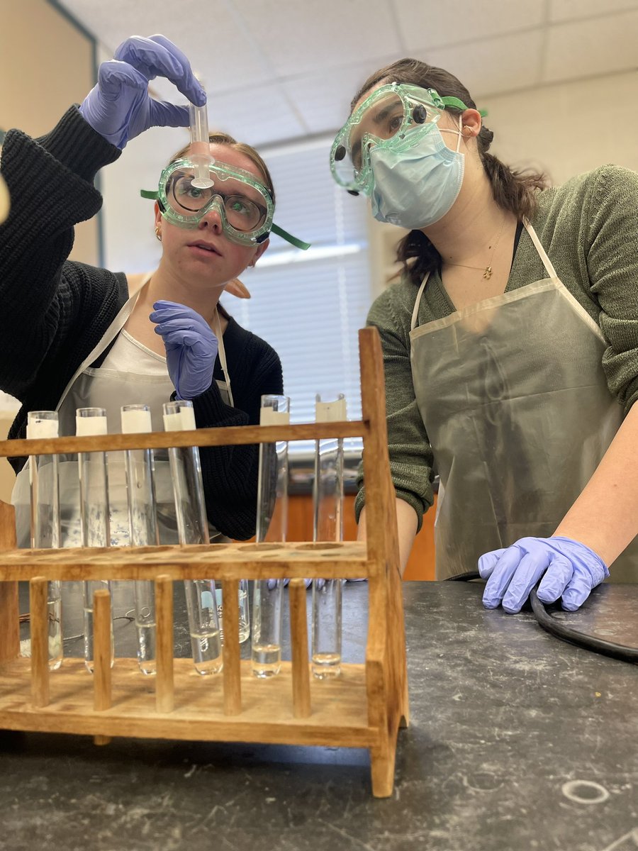 MsFusinaChem's tweet photo. Honors Chem students qualitatively exploring limiting reactant (and having a great time doing so!) @SSSASsaints #SaintsLearn #SaintsScience #ChemEd https://t.co/CxP0kEZy0Q