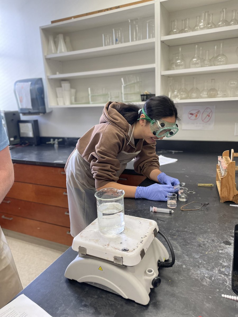 MsFusinaChem's tweet photo. Honors Chem students qualitatively exploring limiting reactant (and having a great time doing so!) @SSSASsaints #SaintsLearn #SaintsScience #ChemEd https://t.co/CxP0kEZy0Q