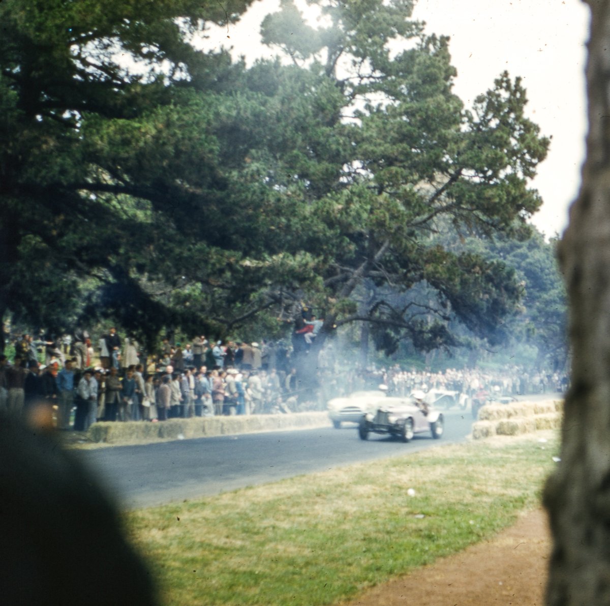 thomashawk's tweet photo. Found some old color slides from 1952 that I think are of the Guardsmen Golden Gate Road Race held in Golden Gate Park back then. #sf #sanfrancisco #foundphoto #vernacularphotography #goldengatepark #guardsmen https://t.co/e5MCmzbYNH https://t.co/9swGQuZCFj