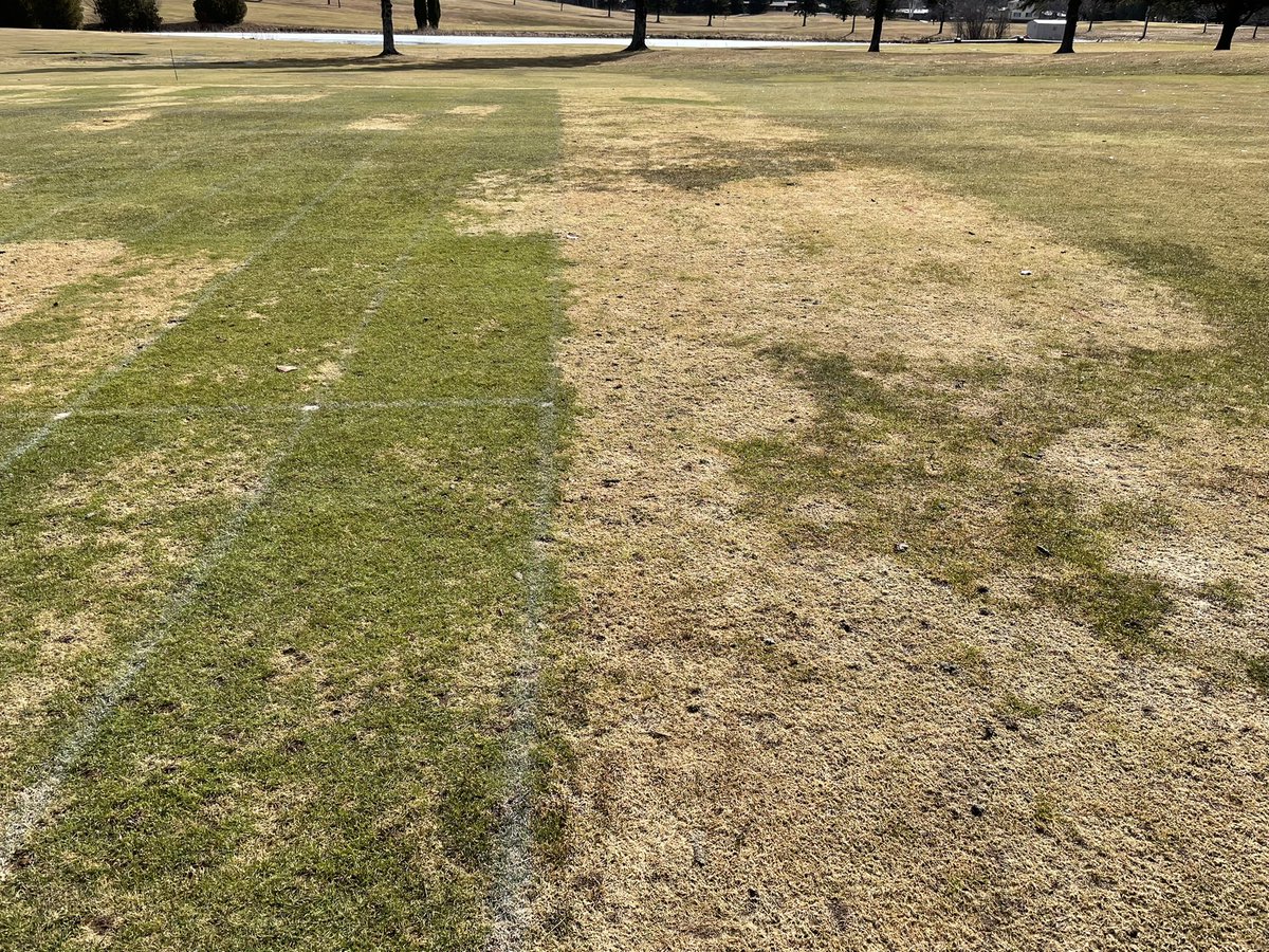 Paul Koch tweet media