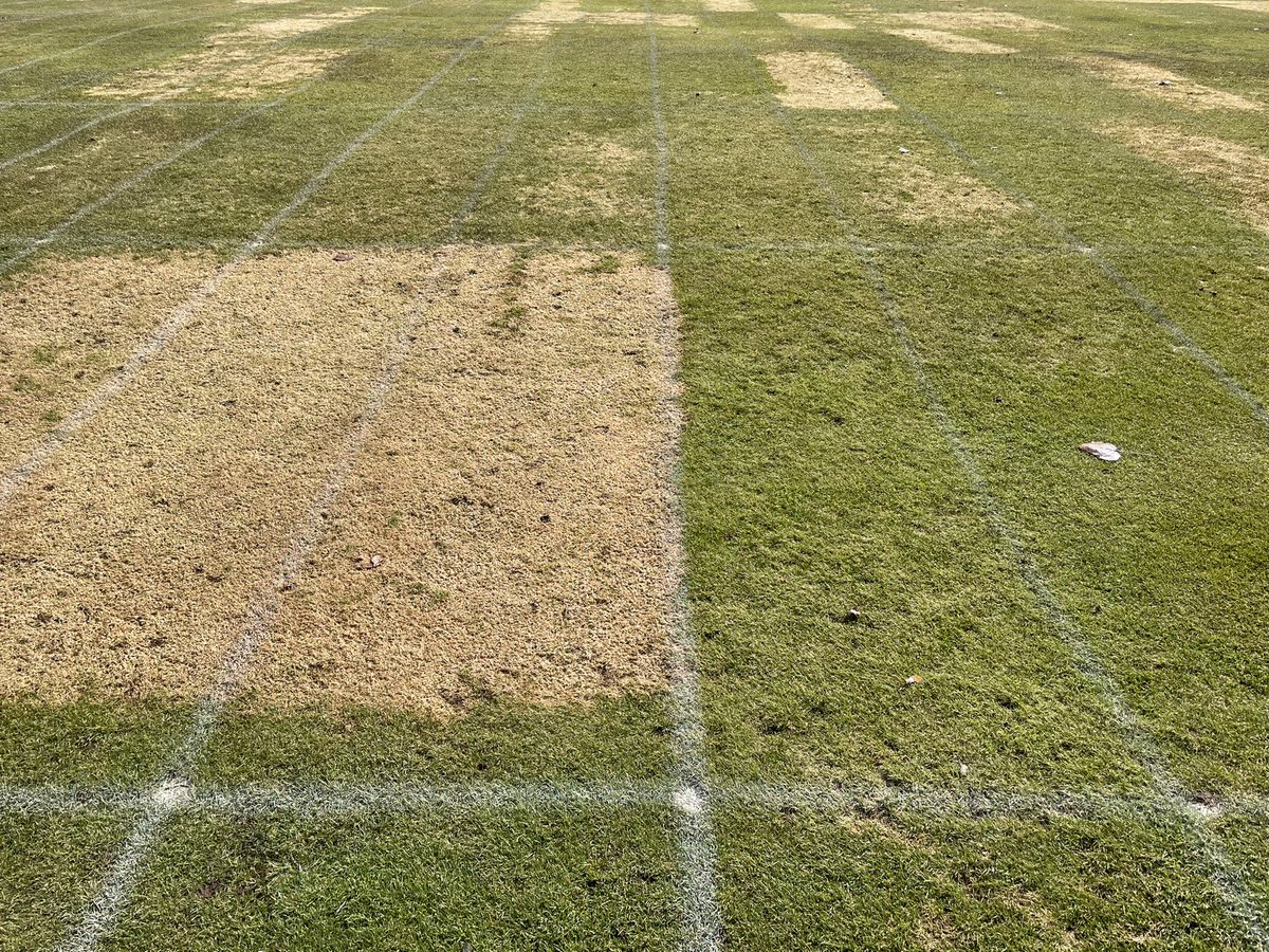 Paul Koch tweet media