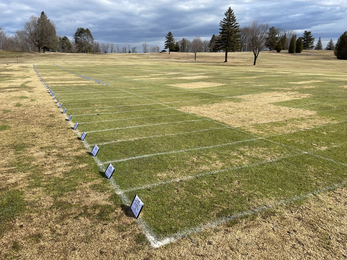 Paul Koch tweet media