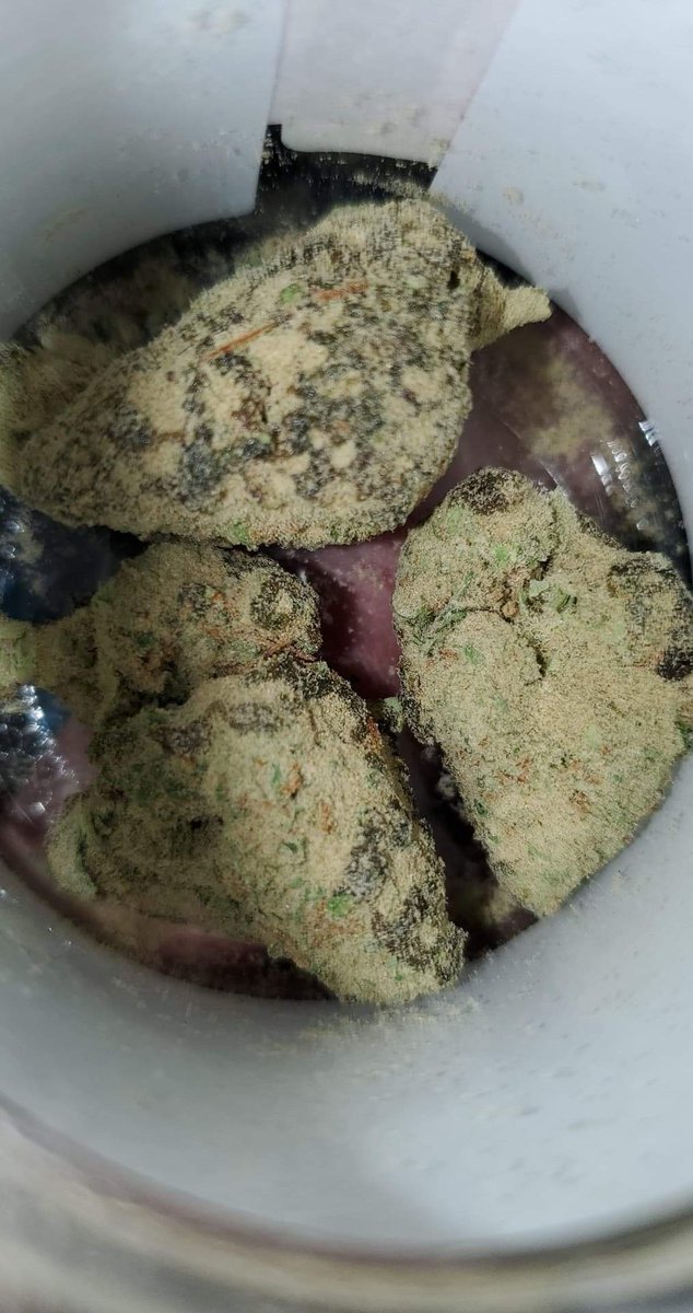 Killacam4444's tweet photo. @NoelElMagnifico @HifromtheFuture @Maaysfinest @ConsciousBuddah @soulkollektor @AVenusianVirgo @Jay_FnHarris I get 1/8s of moonrocks for cheaper than 70 🤣🤣 70 is outrageous for a 1/8 https://t.co/T0yc1kS3lr