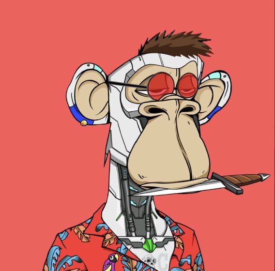 Solana Shitcoiner | DEGEN ❗️ tweet media