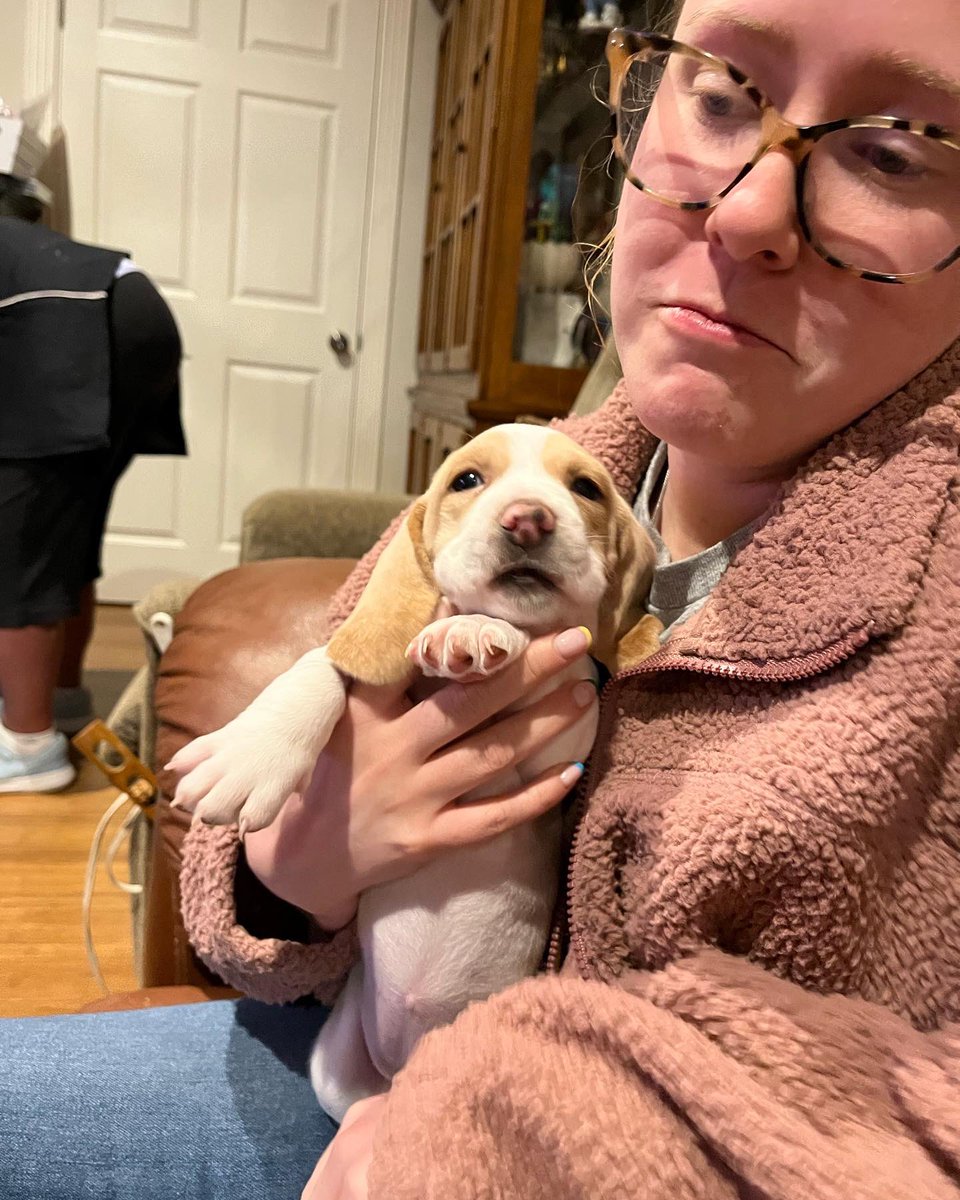 Jacobmmaldo's tweet photo. We are getting a puppy basset hound! 🙌🏽 https://t.co/C6BnX5BLFj